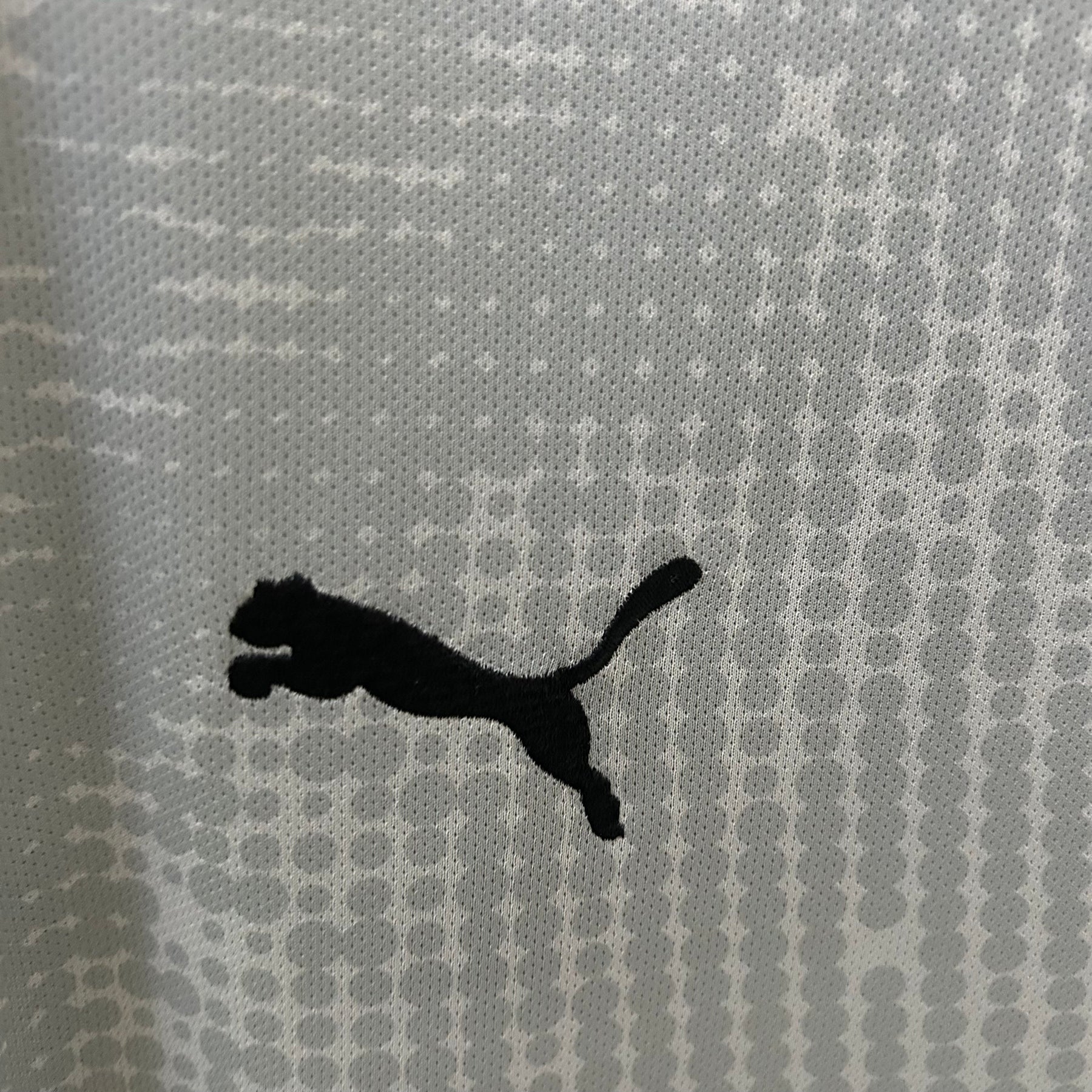 CAMISA PORTUGAL GOLEIRO GRAY 25/26