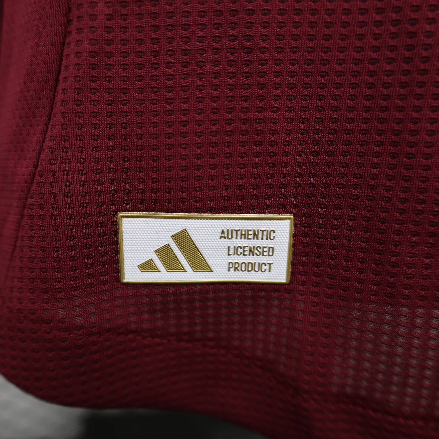 CAMISA ASTON VILLA VERSÃO JOGADOR HOME 24/25