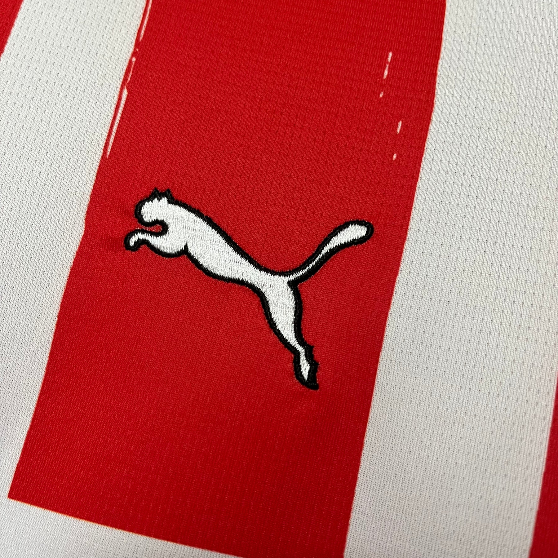 CAMISA PSV EINDHOVEN HOME 24/25