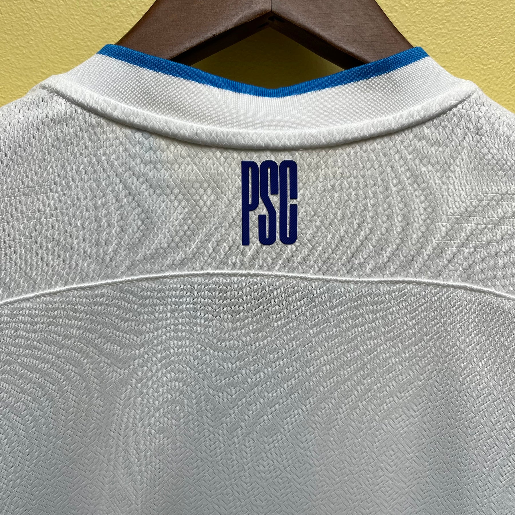 CAMISA PAYSANDU FEMININA HOME 23/24
