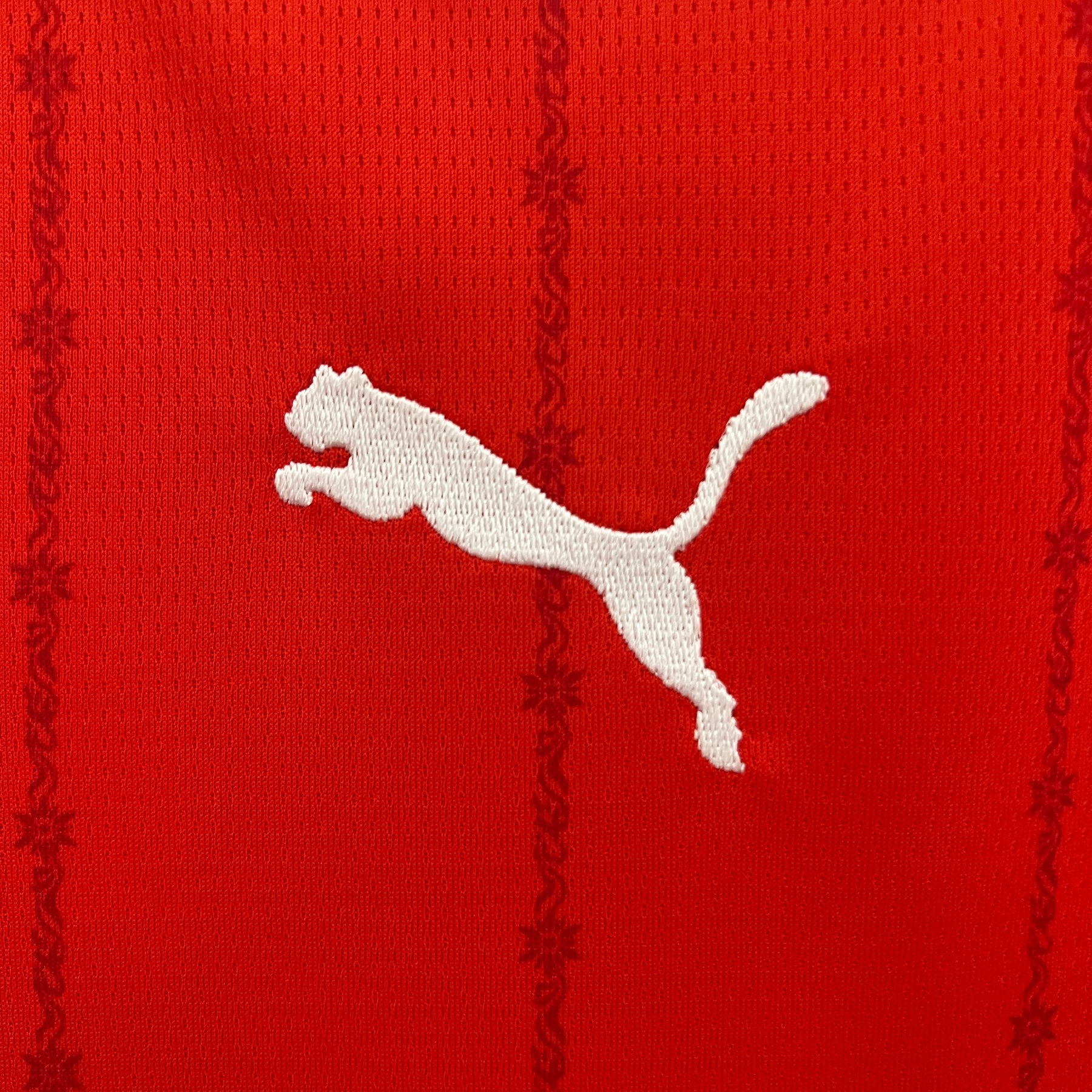 CAMISA SUIÇA HOME 24/25