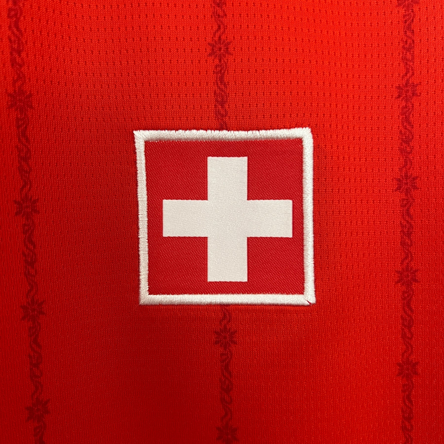 CAMISA SUIÇA HOME 24/25