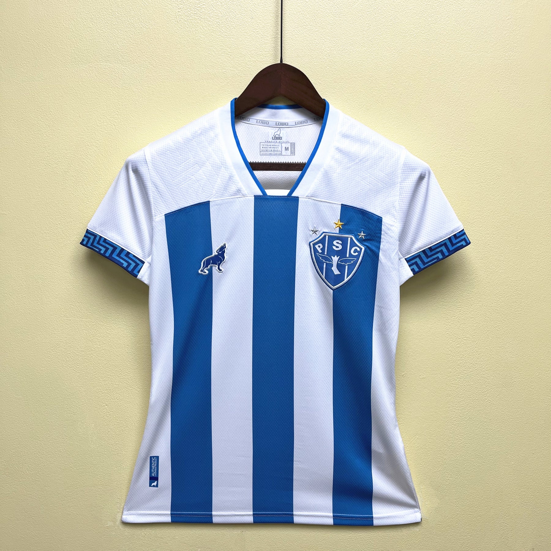 CAMISA PAYSANDU FEMININA HOME 23/24
