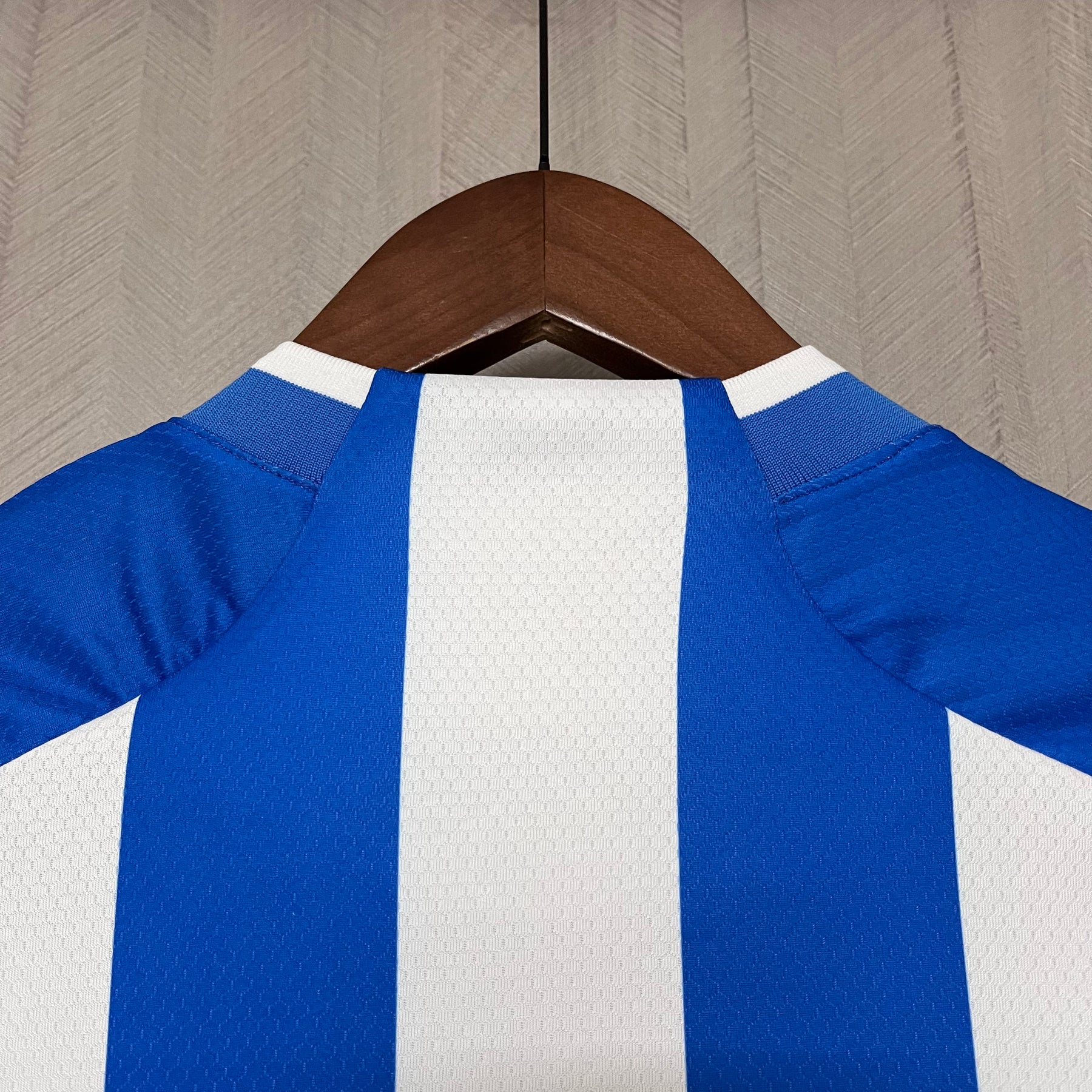 CAMISA PAYSANDU FEMININA HOME 24/25