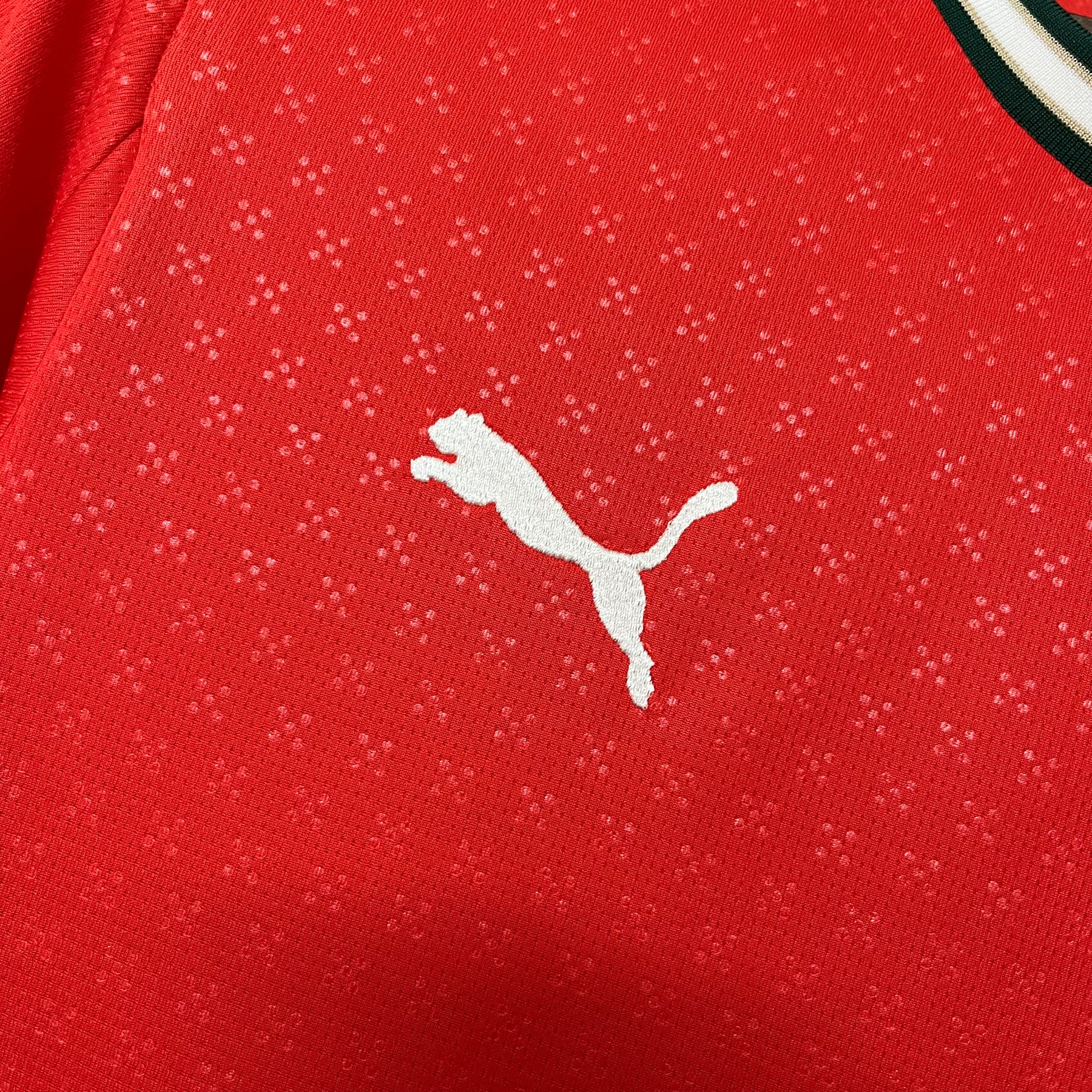 CAMISA PORTUGAL HOME 25/26