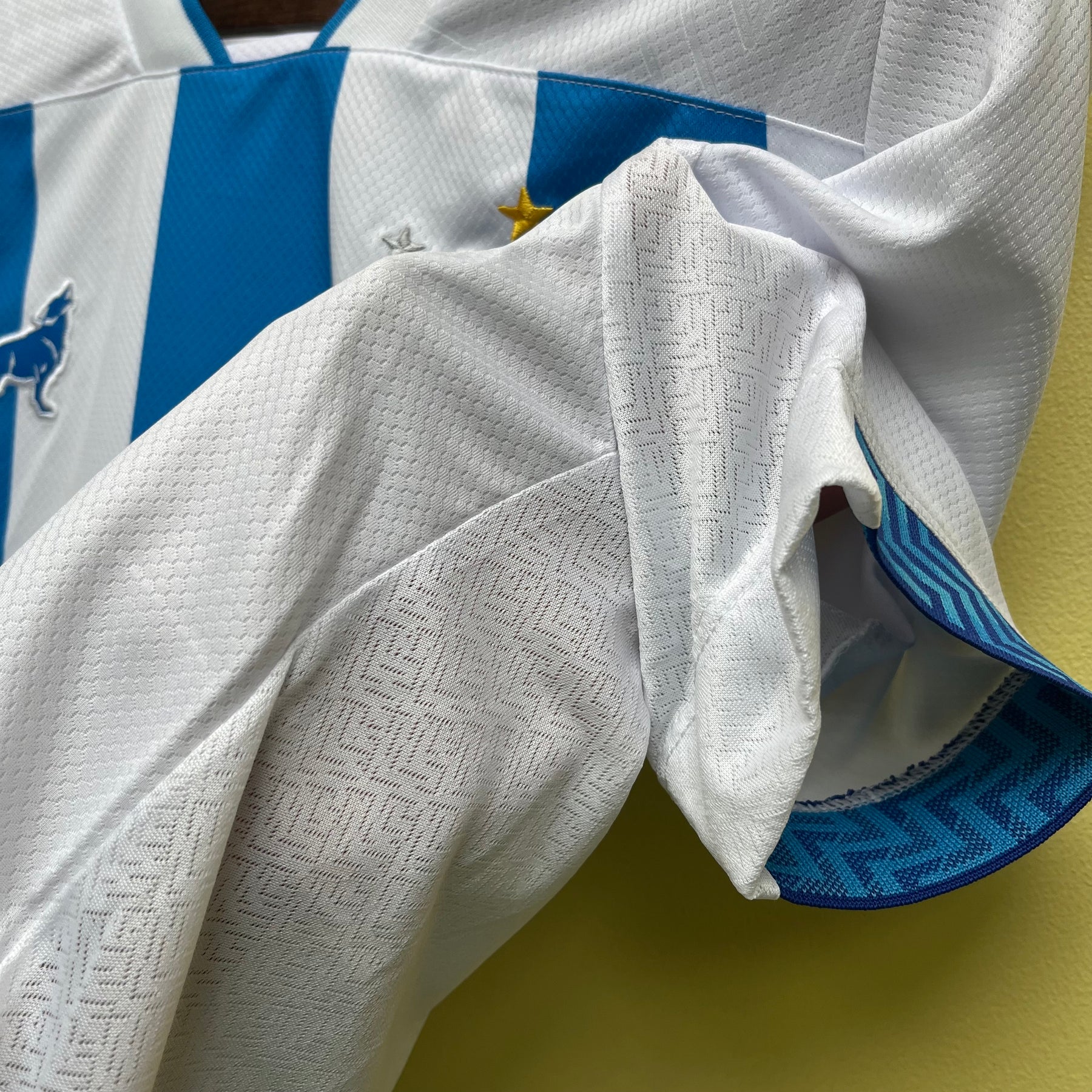CAMISA PAYSANDU HOME 23/24