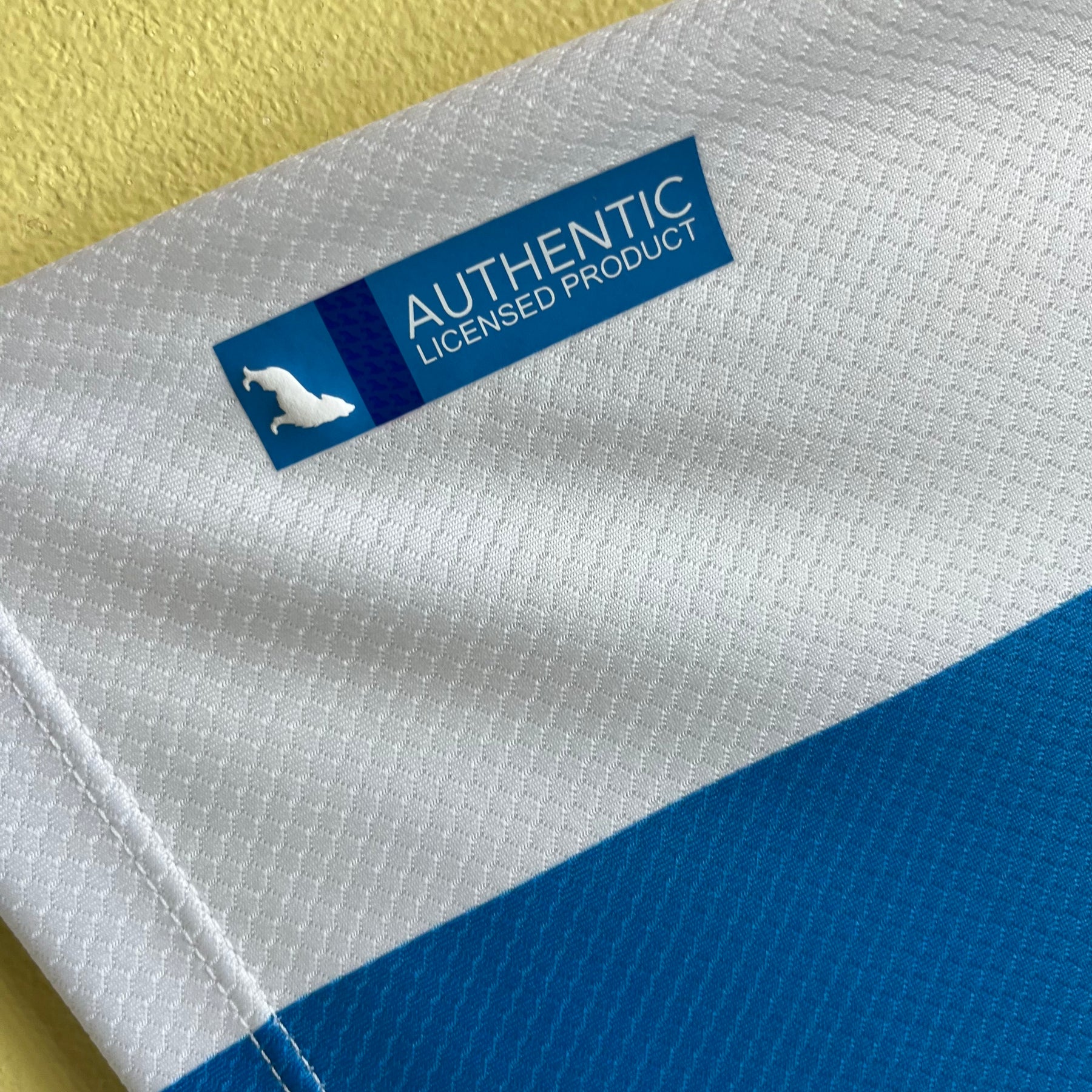 CAMISA PAYSANDU HOME 23/24