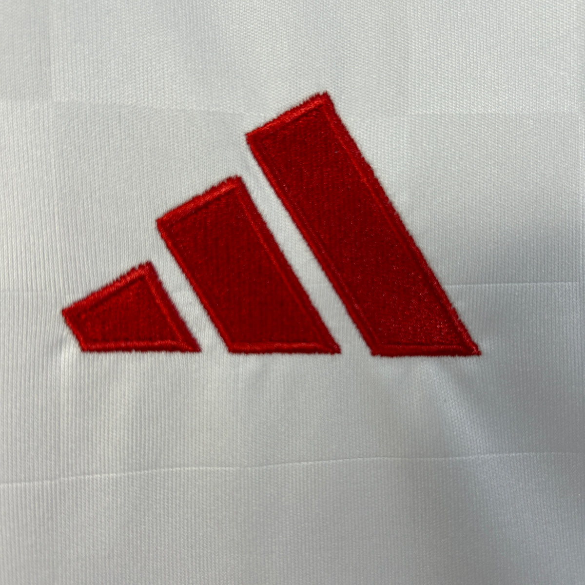 CAMISA BENFICA THIRD 25/26