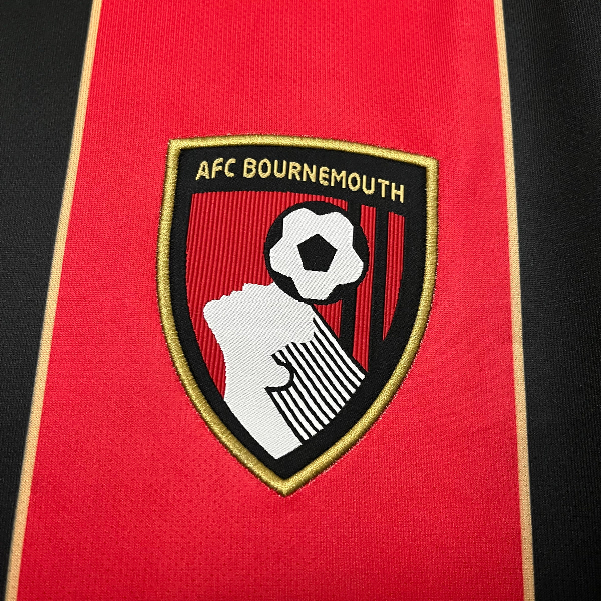 CAMISA BOURNEMOUTH HOME 24/25