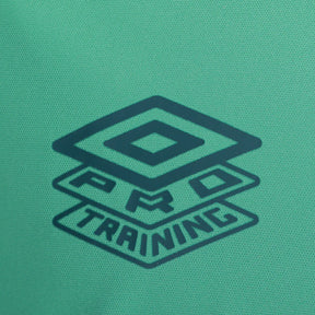 CAMISA FLUMINENSE TREINO VERDE 25/26