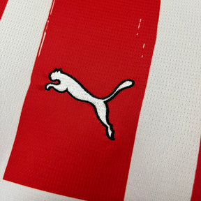 CAMISA PSV EINDHOVEN HOME 24/25