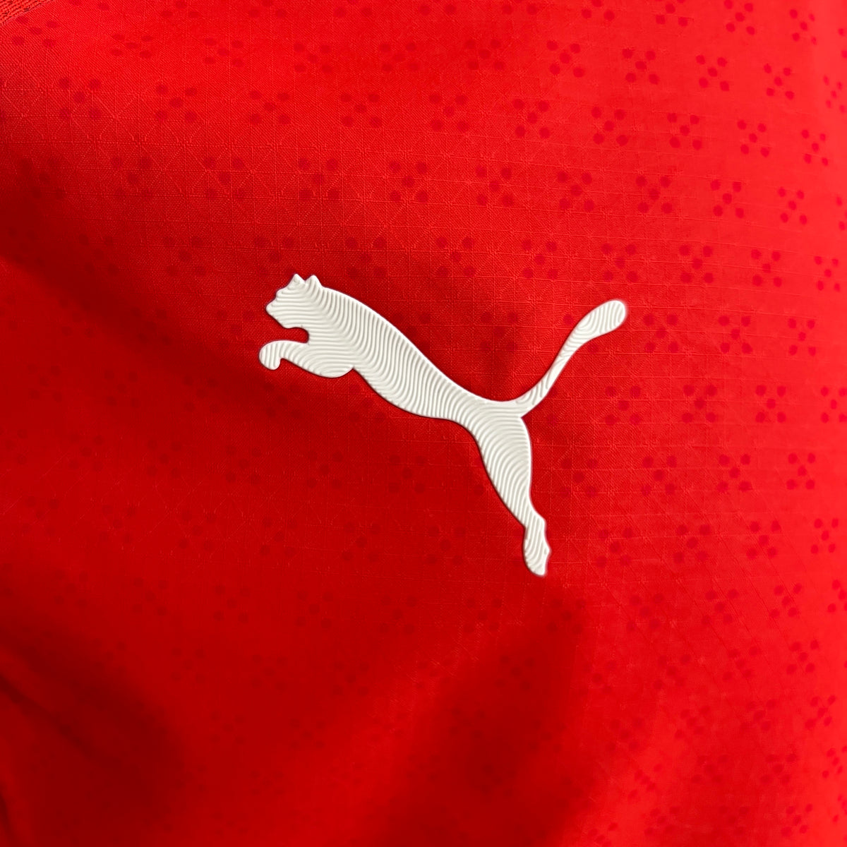 CAMISA PORTUGAL VERSÃO JOGADOR HOME 25/26