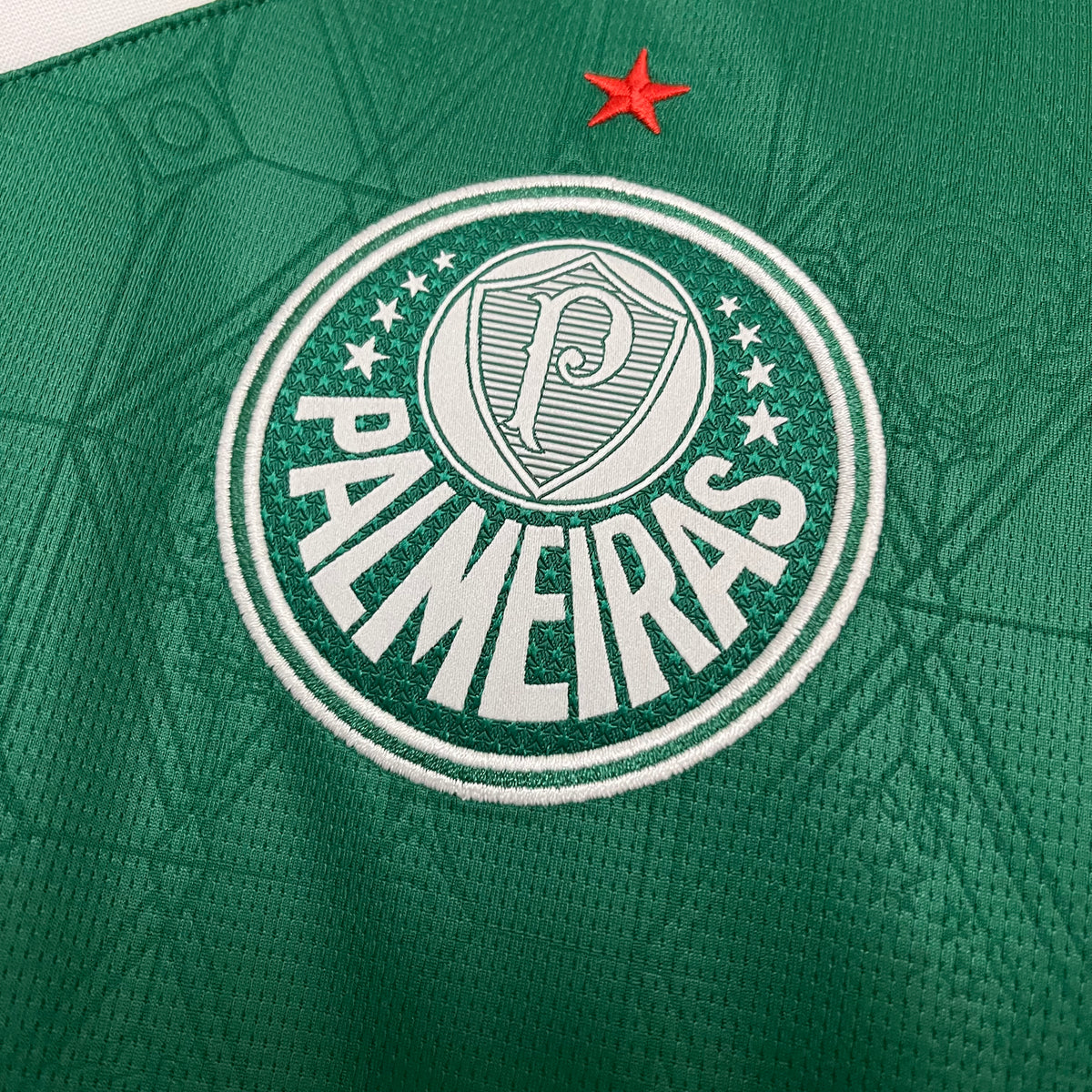 CAMISA PALMEIRAS HOME 25/26