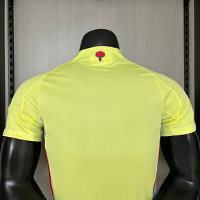 CAMISA ESPANHA 'PLAYER' AWAY 24/25
