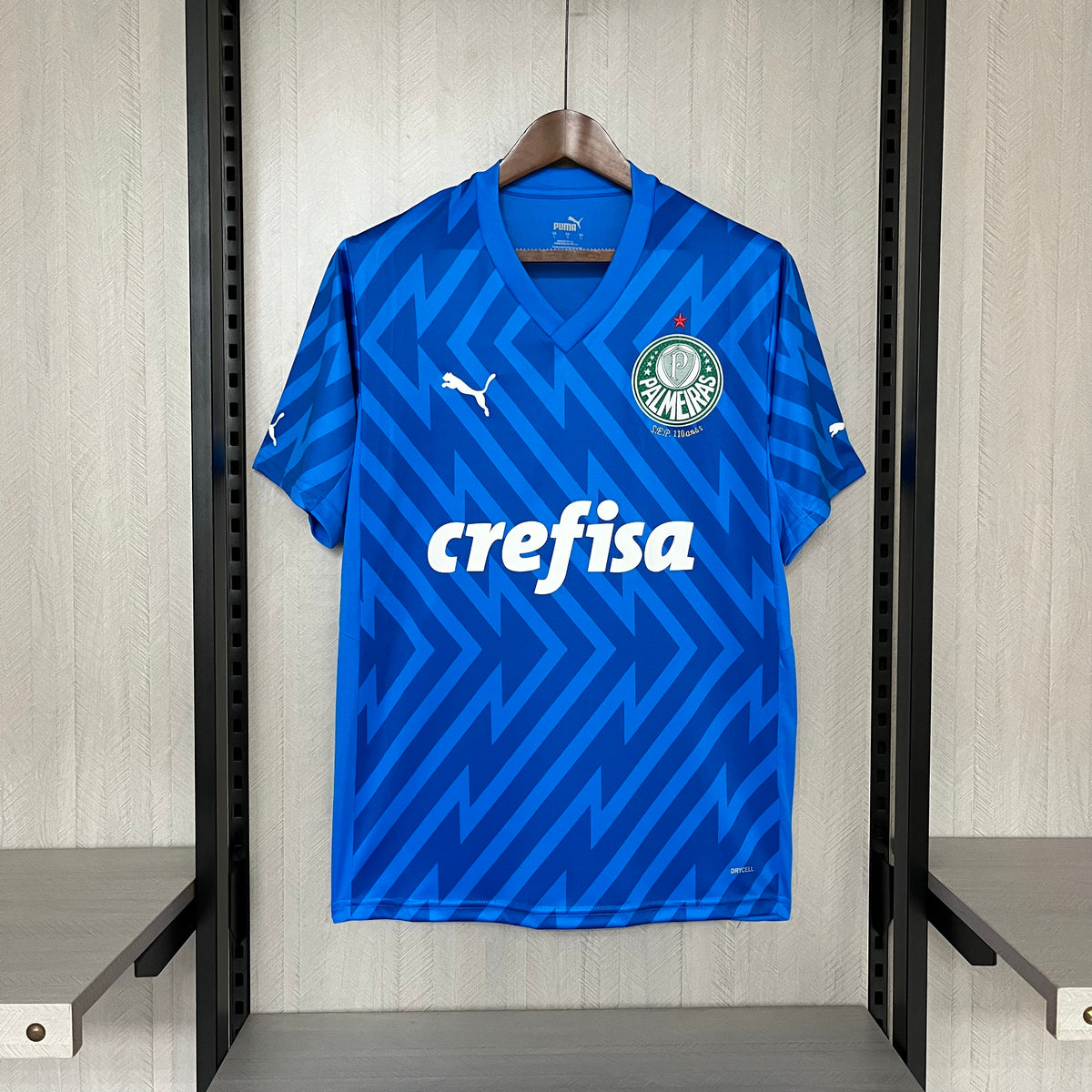CAMISA PALMEIRAS GOLEIRO AZUL 24/25