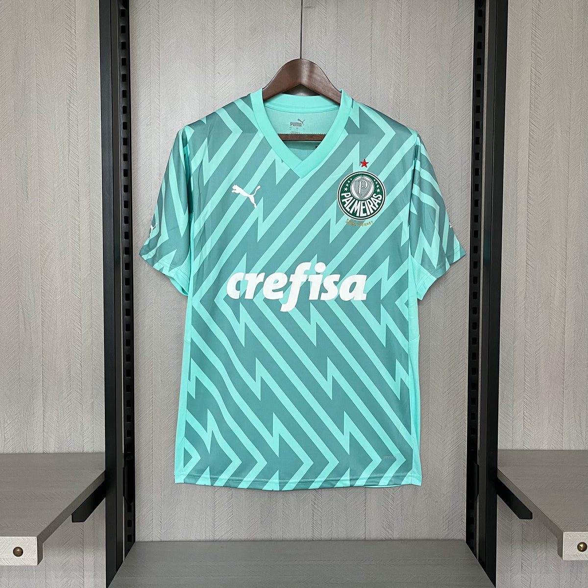 CAMISA PALMEIRAS GOLEIRO VERDE 24/25