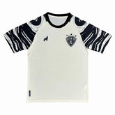 CAMISA PAYSANDU TREINO 25/26