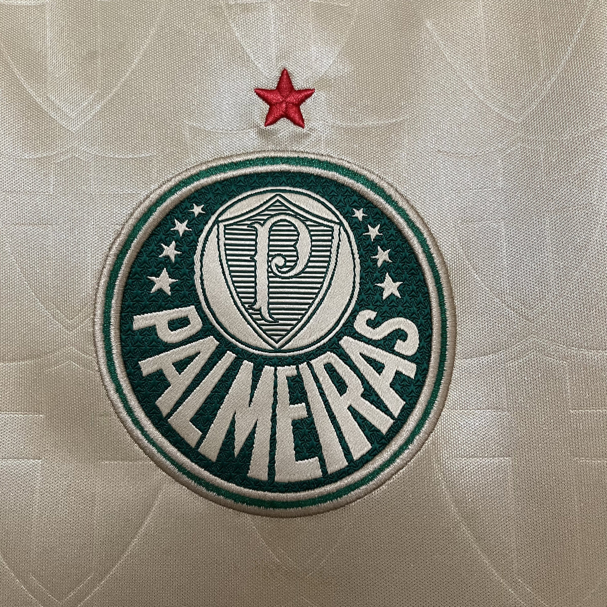 CAMISA PALMEIRAS THIRD 24/25