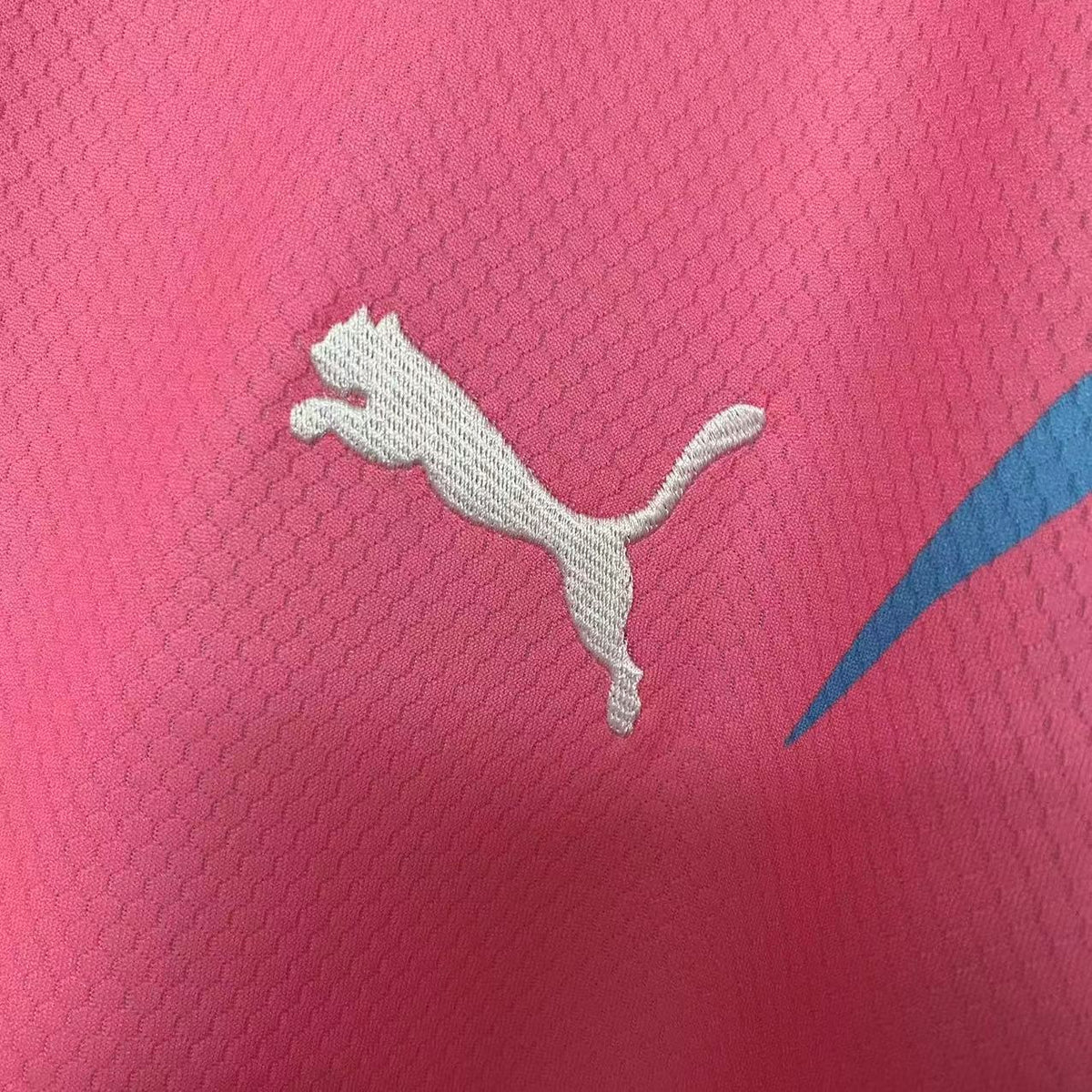 CAMISA PALMEIRAS OUTUBRO ROSA & NOVEMBRO AZUL AWAY 23/24